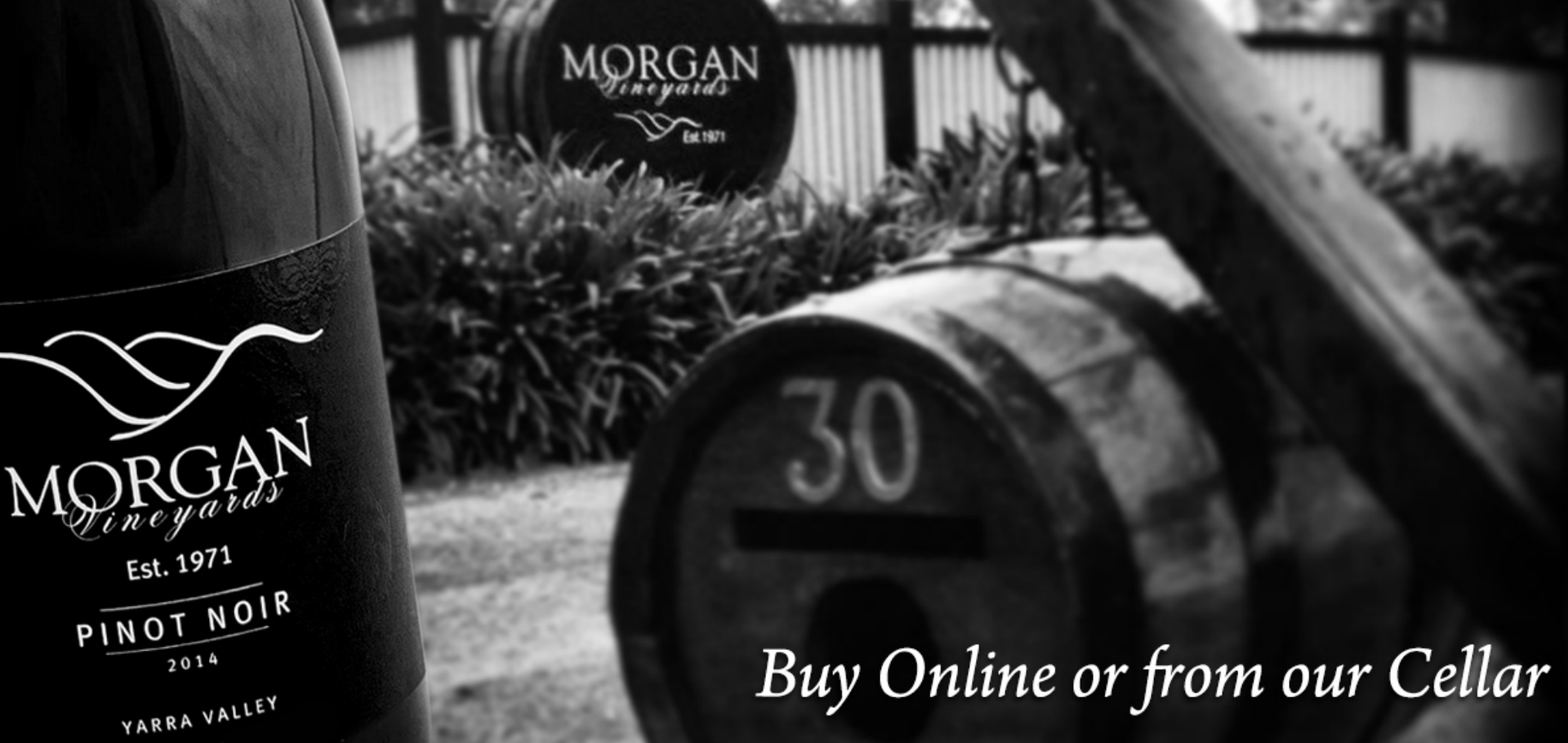 buy-wine-online