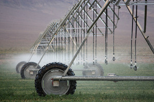 Seattle Services have been providing Tasmanian farmers with the means to irrigate their crops since 1978