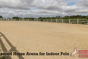 Re-Lasered Horse Arenas