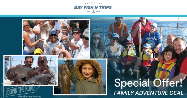 fb_bay_fishntrips_1200x628_shoutout2