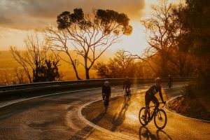 cycling-clubs-mornington-peninsula