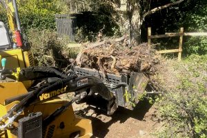 Large Size Green Waste Removal