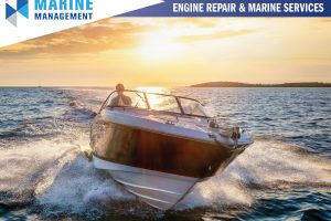 Photo 28-7-2025, 10 18 05 am