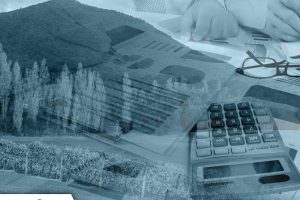 Photo 12-8-2025, 11 09 00 am