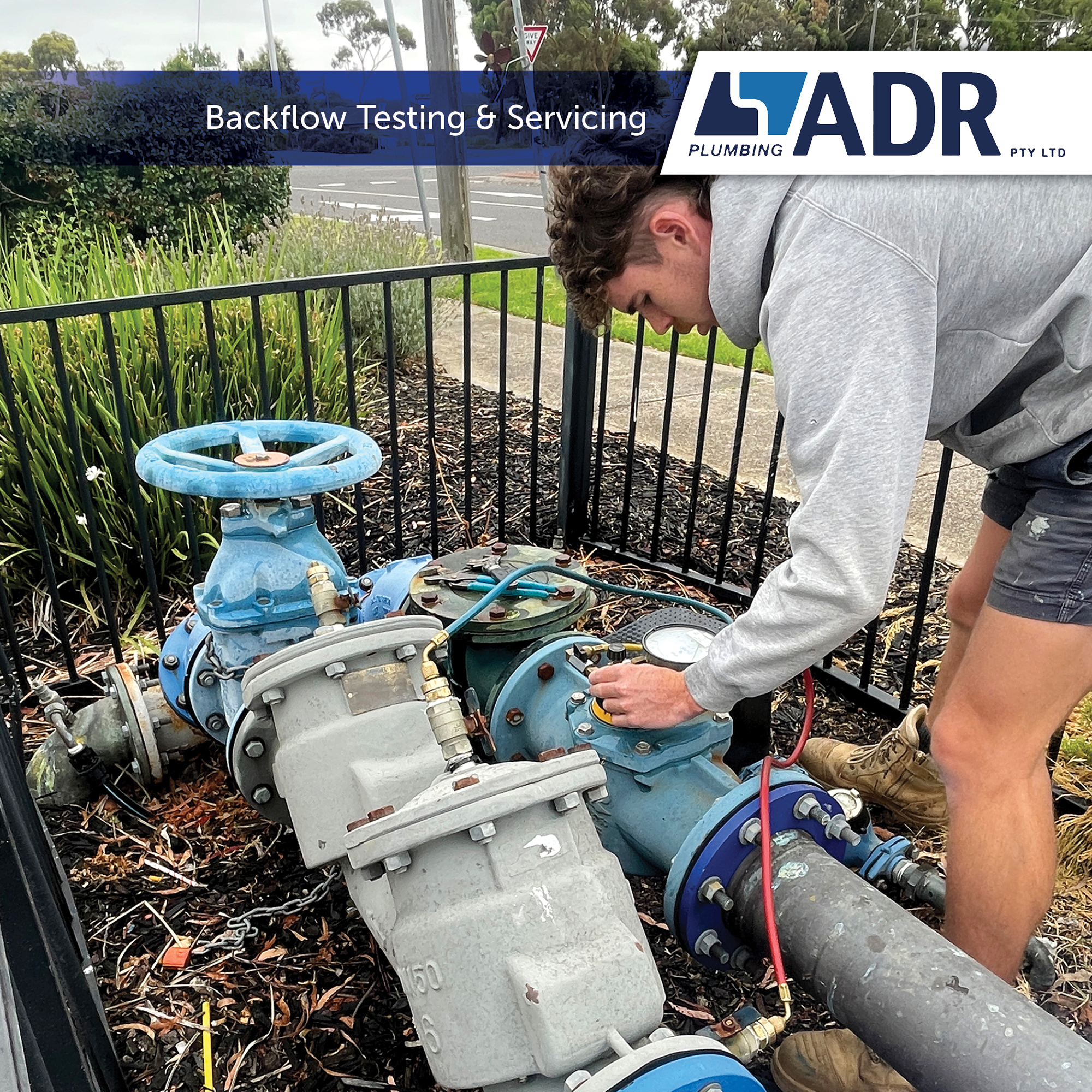 Photo 19-8-2025, 9 54 44 am